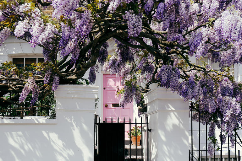 Pink front door