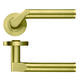 Zoo Venus Lever on Rose Favo Satin Brass