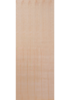 Plywood Flush FD30 Fire Door